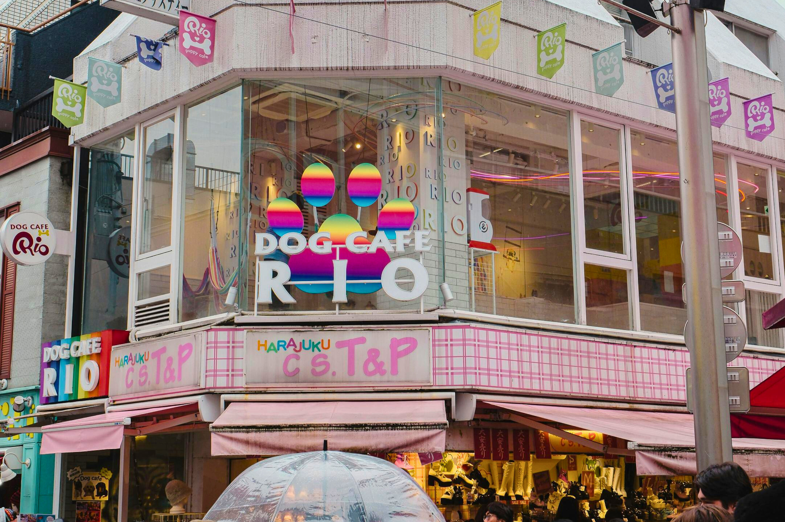 คาเฟ และร้านอาหาร