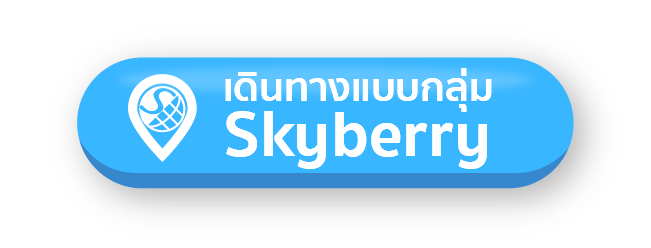 Work From Anywhere with Skyberry
