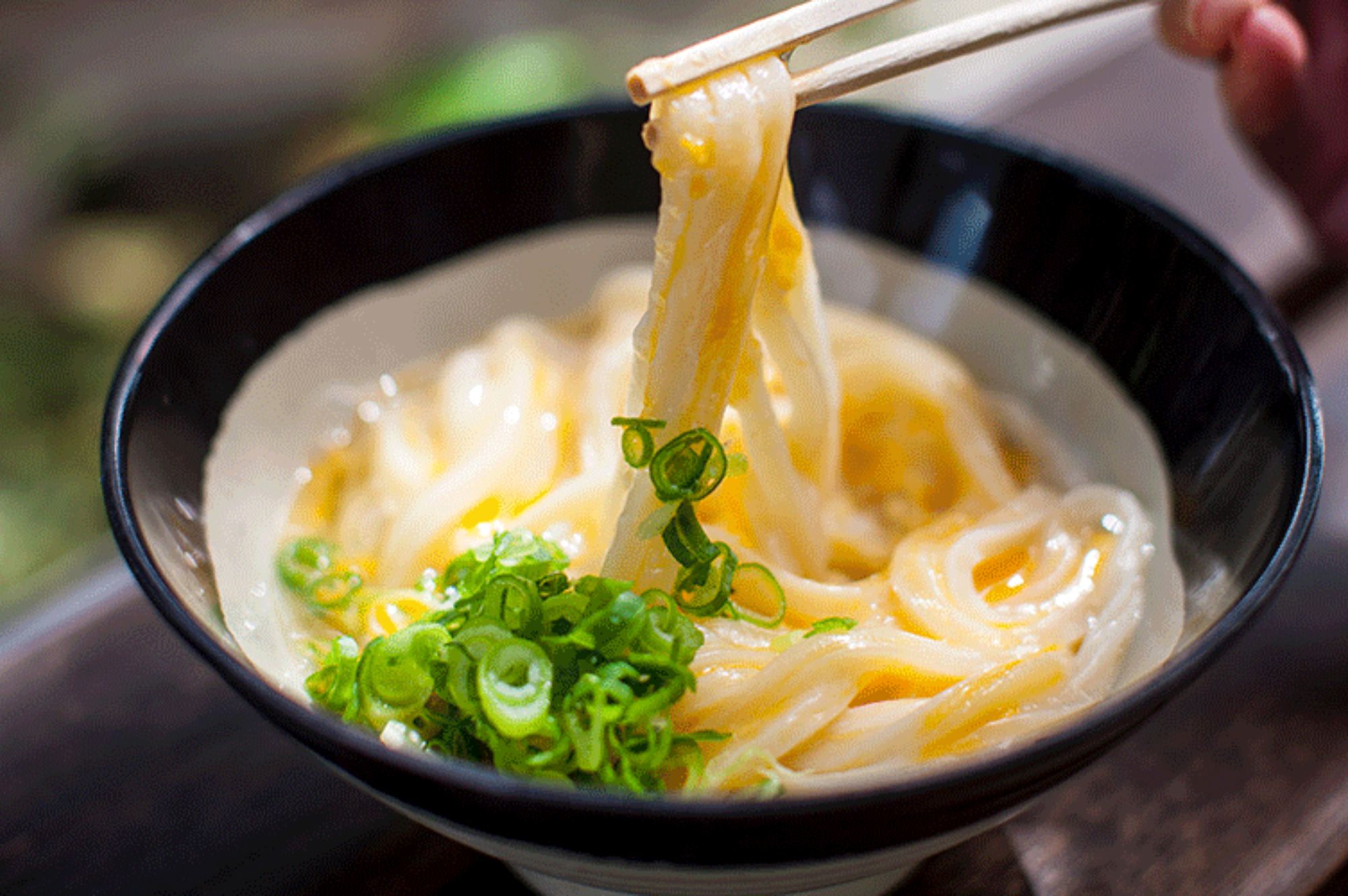Yamagoe Udon ร้านต้นตำรับ Kamatama Udon